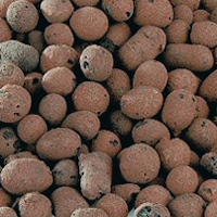 Blähton / Expanded Clay